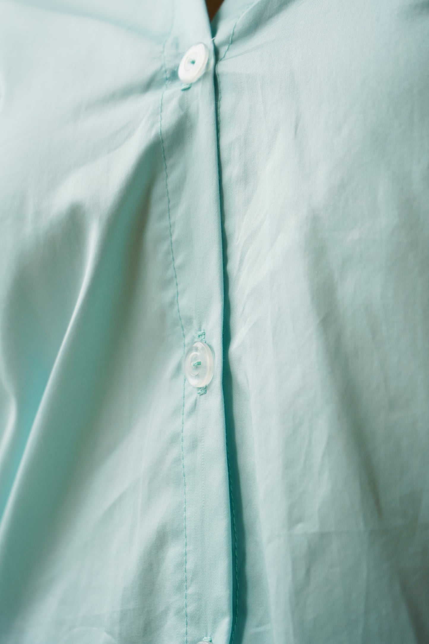 Button Down Blouse image 5